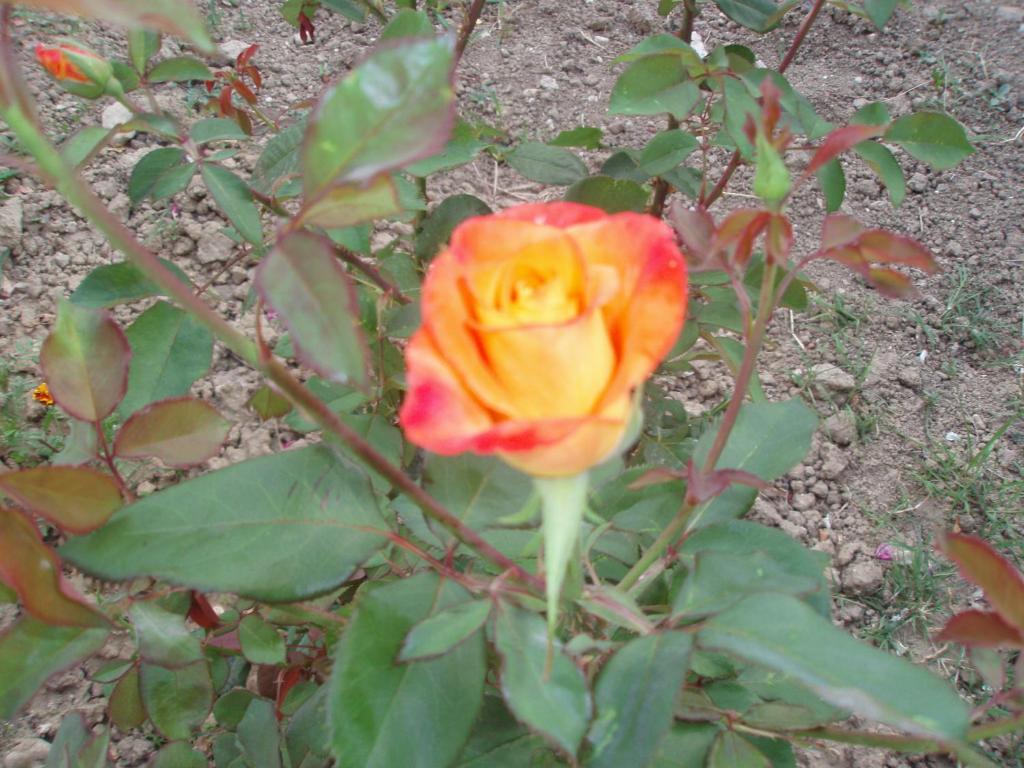 편의 시설/서비스