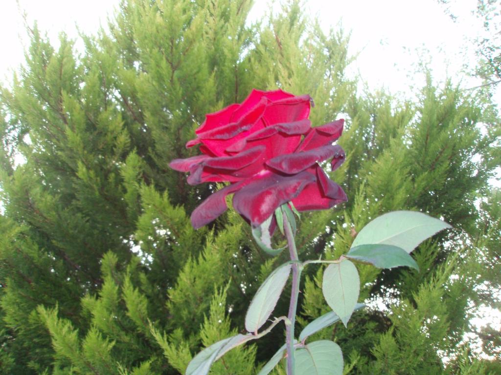 편의 시설/서비스