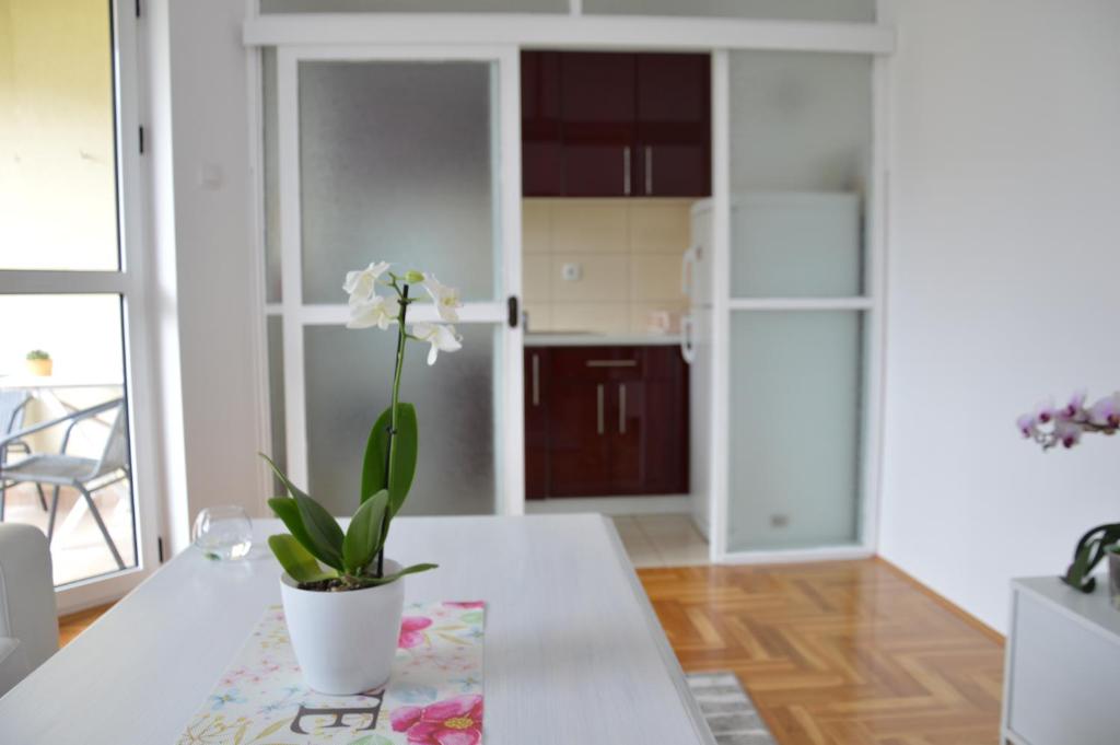 Apartman Biser - 3