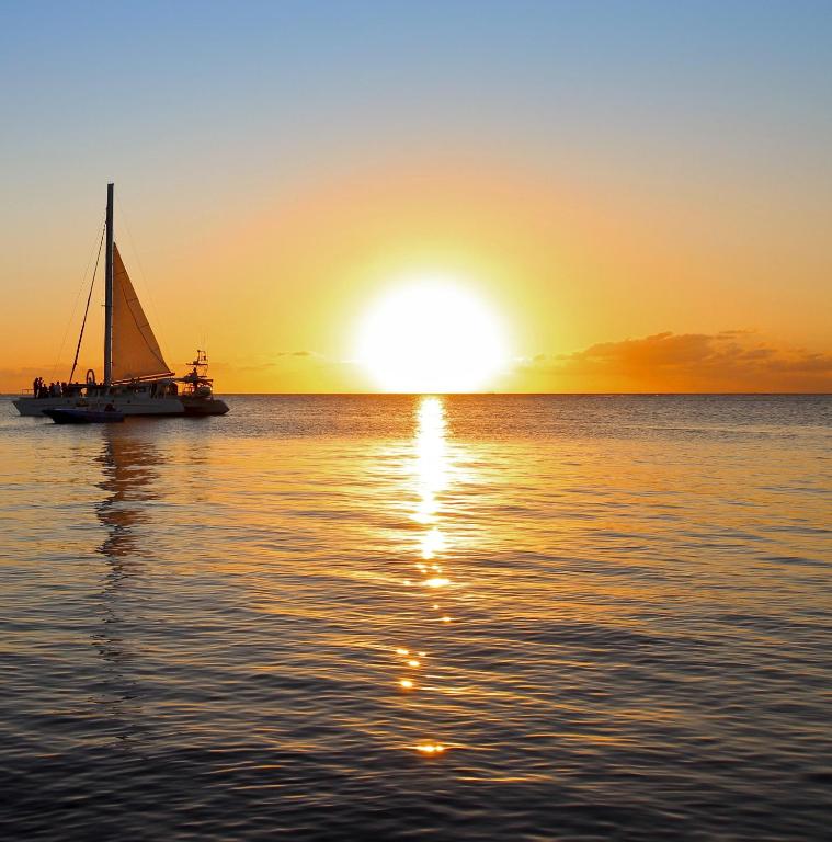 mame trees, West End