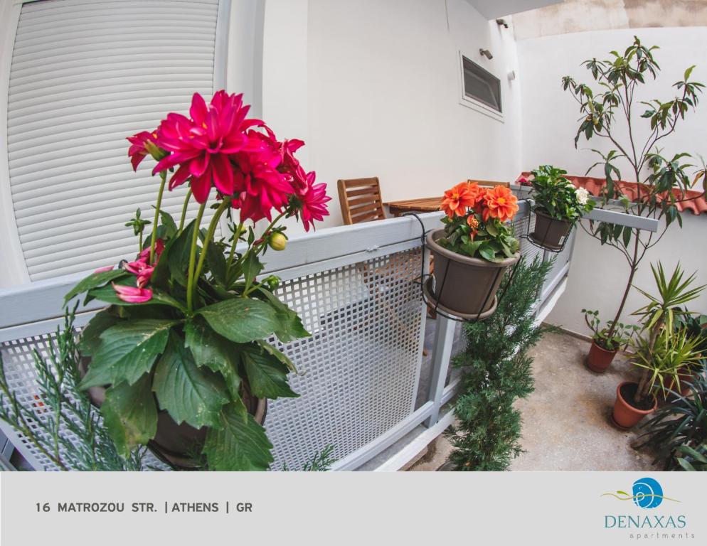 Denaxas Apartments in the heart of Athens photo