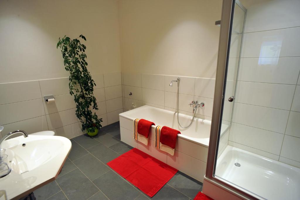 Appartements Altes Gericht - 4