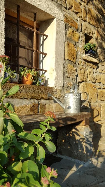 Istrian Stone House photo