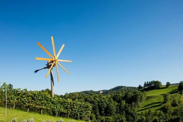Weingut- Gästezimmer Marko - 5