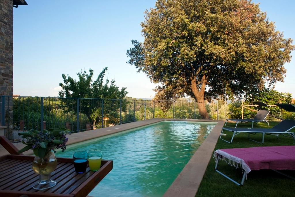 Swimming pool, Podere San Quirico in Castelnuovo Berardenga