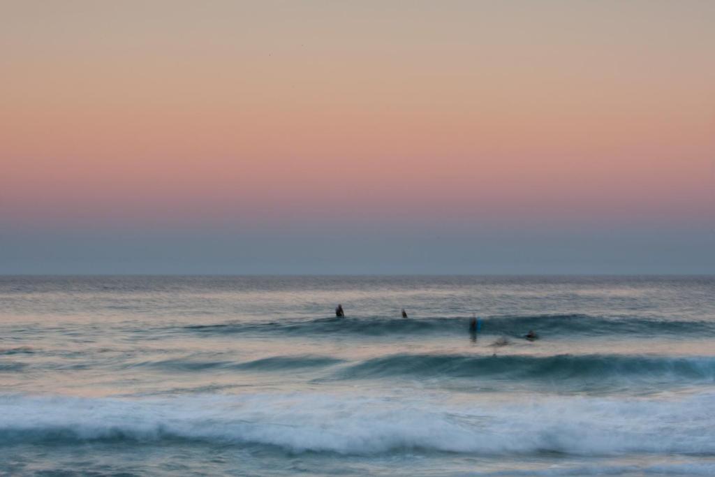 Bondi Lock-Down Retreat, The Cute Place To Put Up Your Feet photo