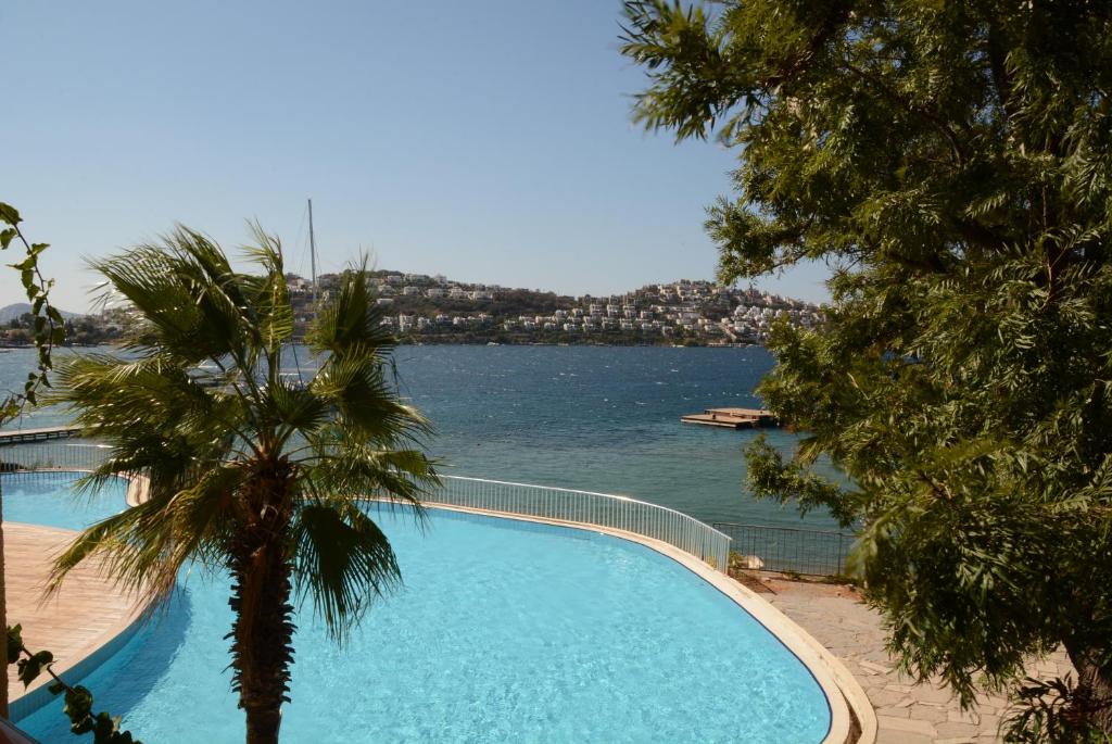 Tilkicik Yali Daireleri Club Flipper Yalikavak Bodrum In Bodrum City Turkey Reviews Prices Planet Of Hotels