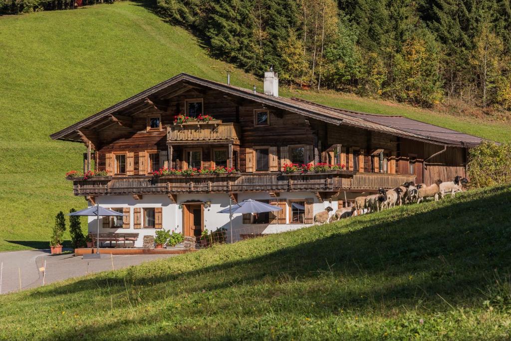 Bauernhof Mühltalhof - 4