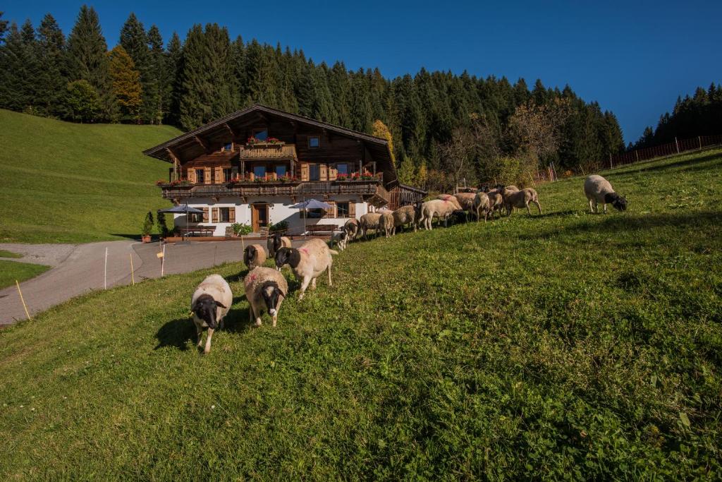 Bauernhof Mühltalhof - 2