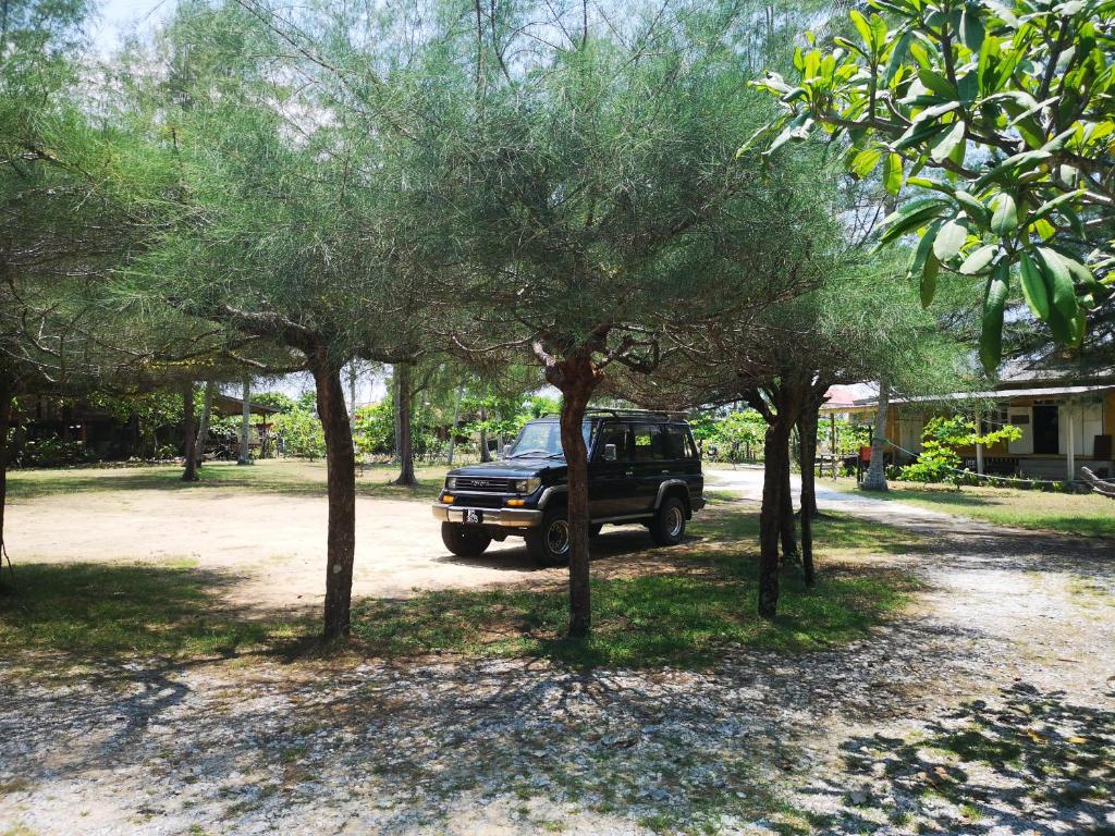 Surrounding environment