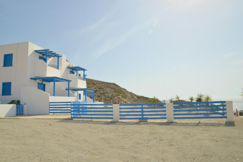 Aperanto galazio photo