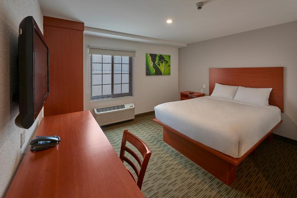 Extended Suites Monterrey Aeropuerto photo