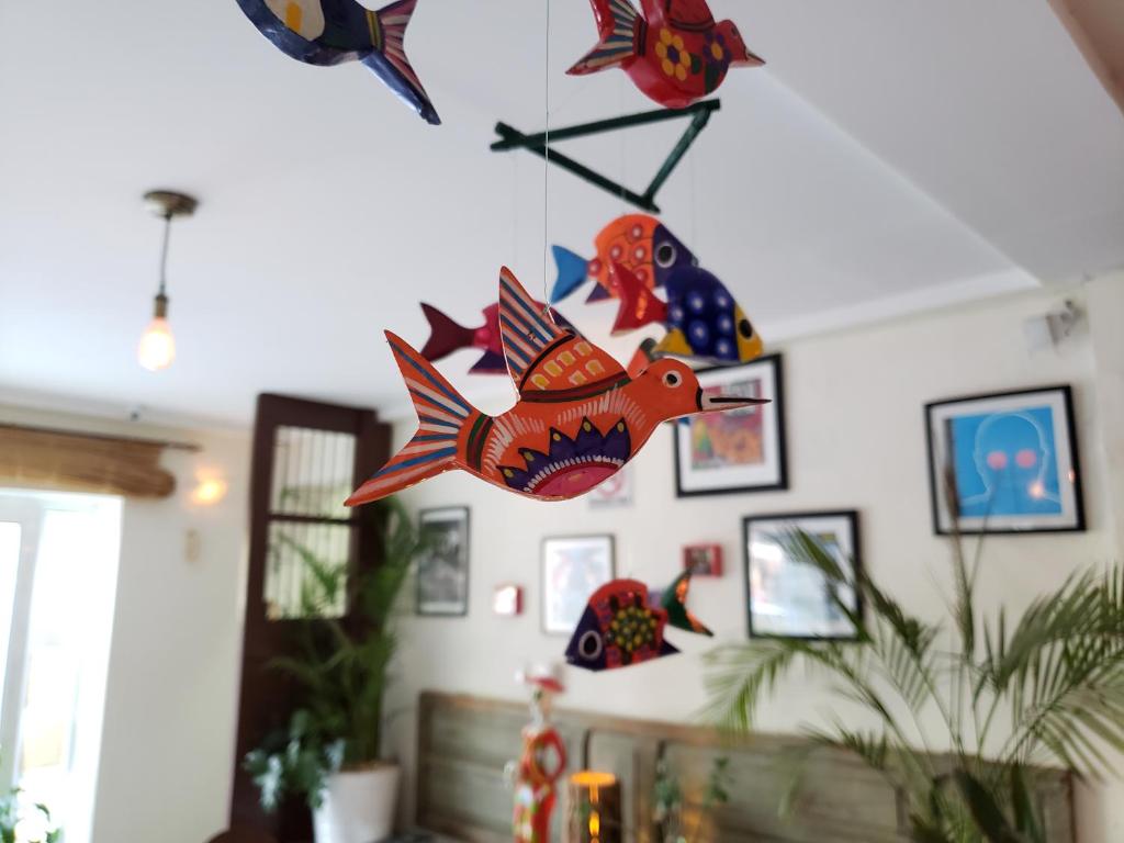 Shared lounge/TV area