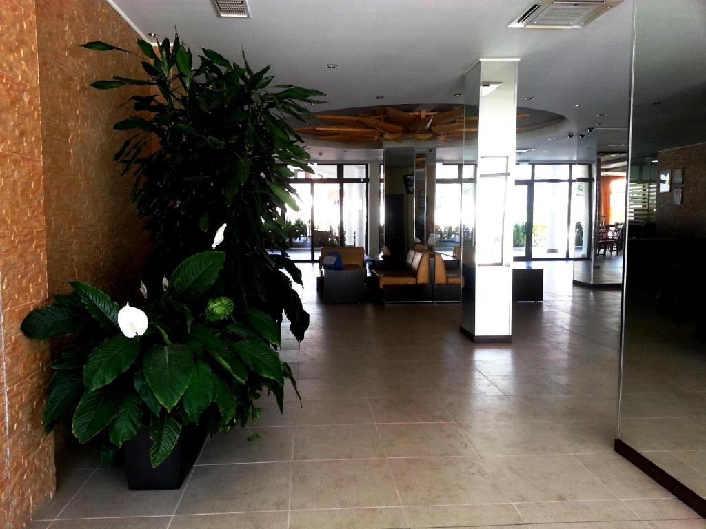 Menada Royal Sun Apartments photo