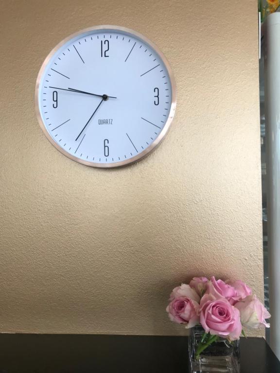 Hotel Kras photo