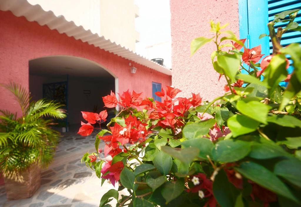 Hotel Casamart Rodadero photo