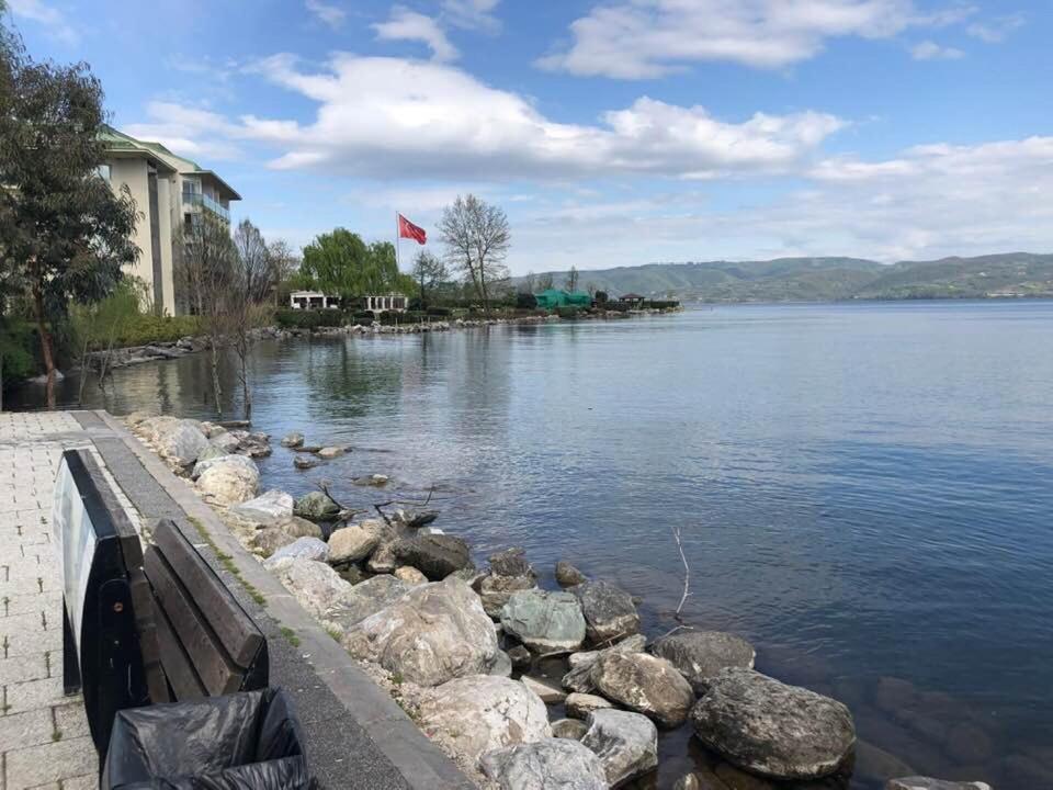 Surrounding environment