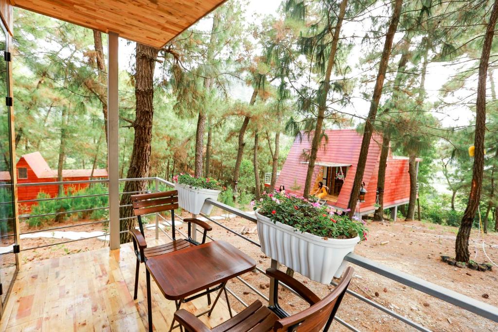 Cat Ba Eco-Lodge Hotel