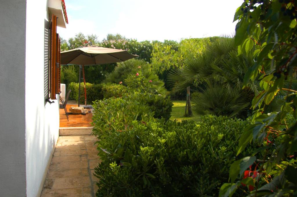 Villa Rosa Marina photo