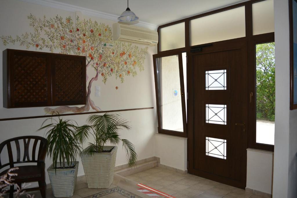 Xanemos Studios photo