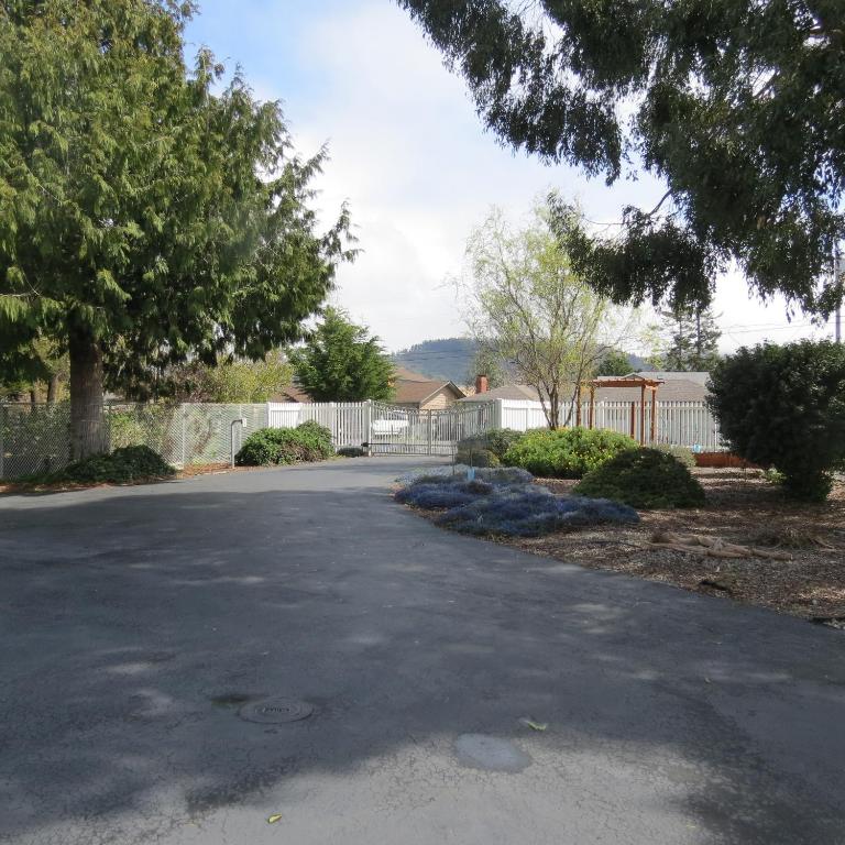Tanbark Shores Guest Suite photo