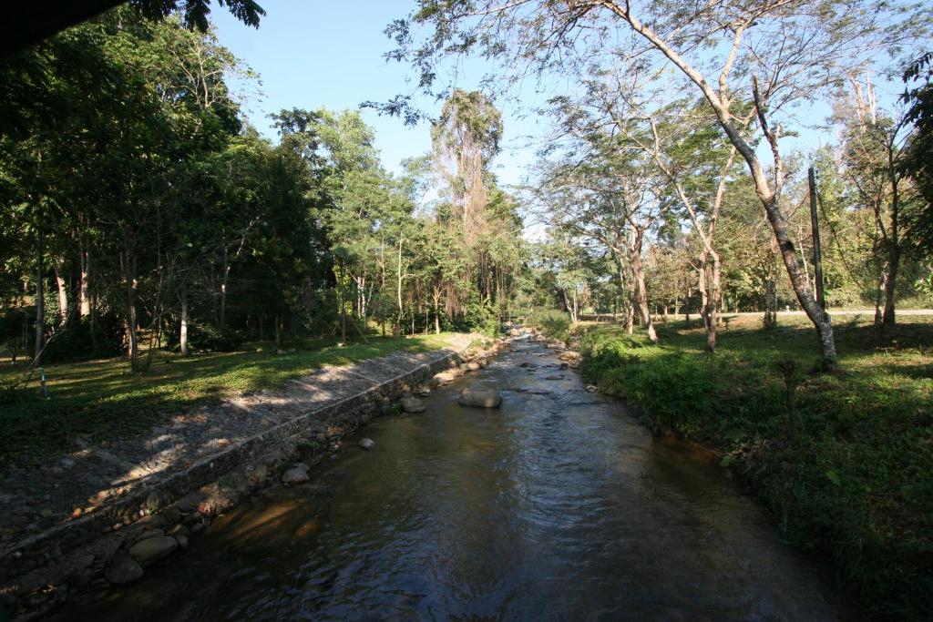 Surrounding environment