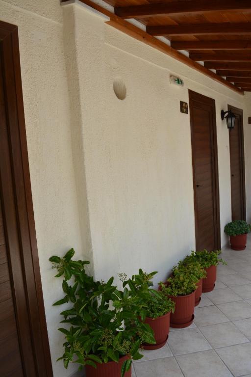Xanemos Studios photo