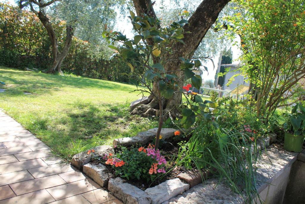 Casa Andreina - 4