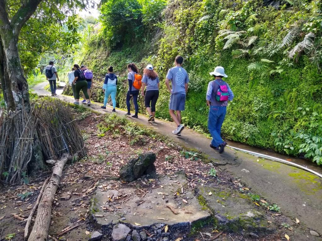 Sports and activities