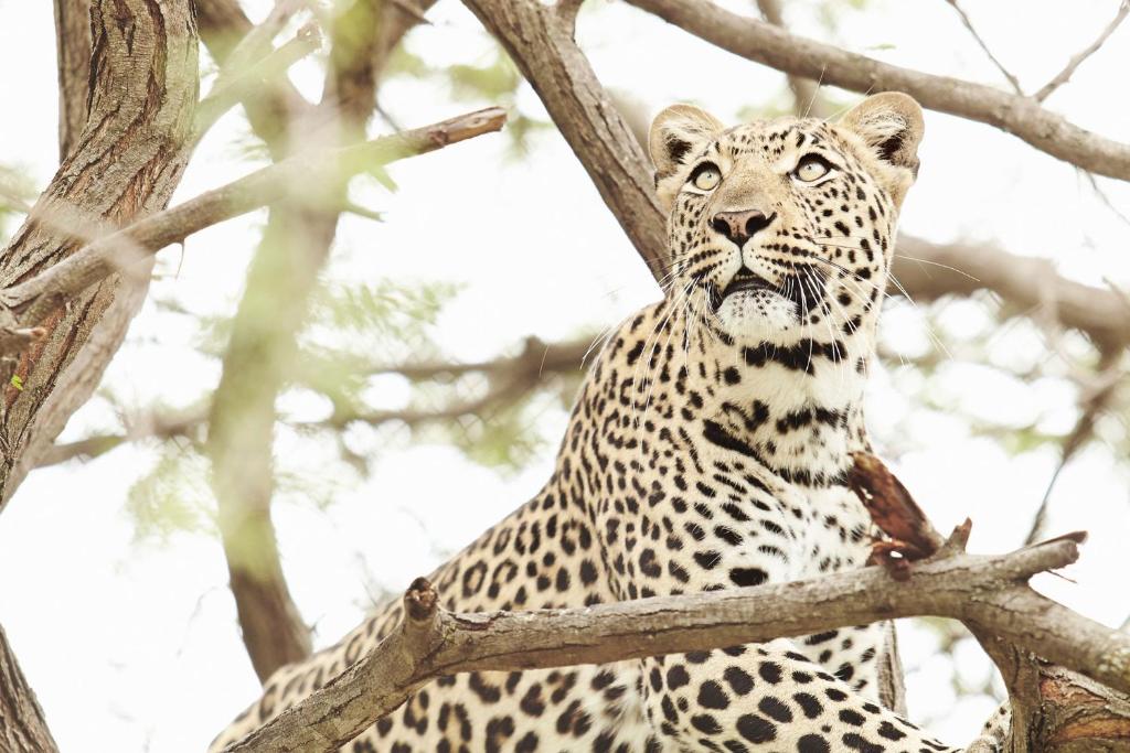 Vuyani River Lodge photo