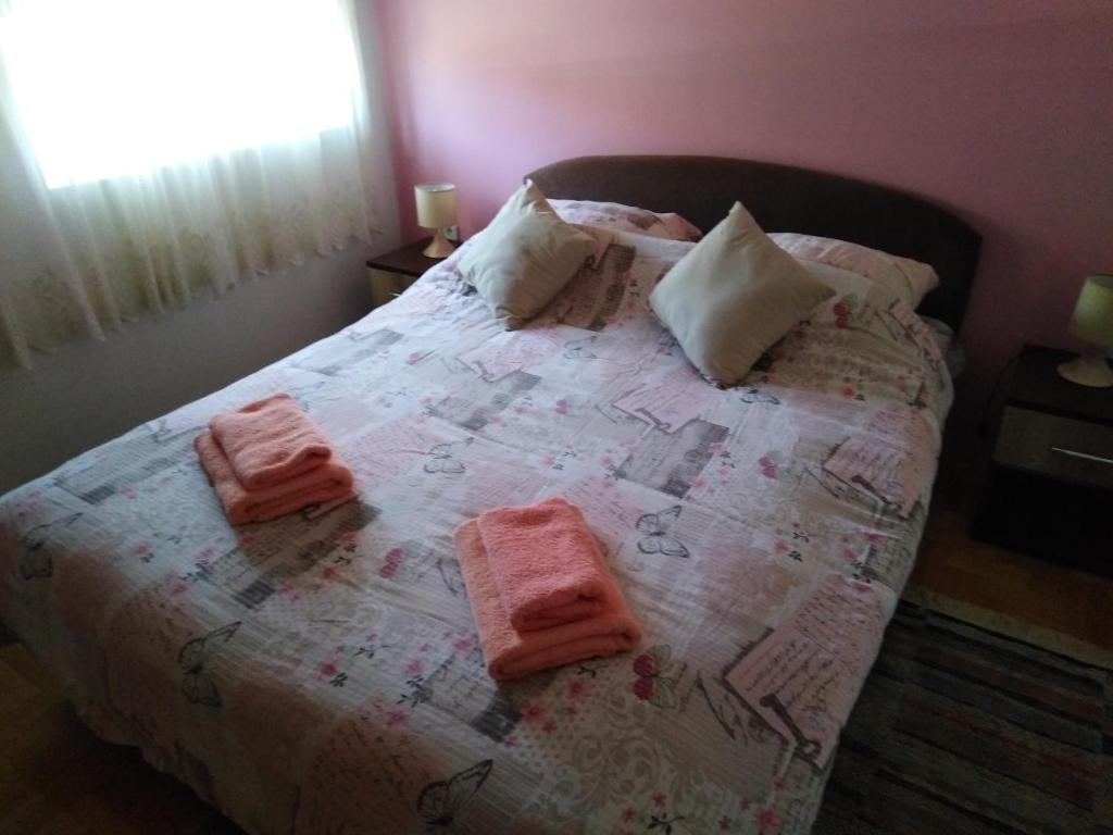 Apartment Jovana Vrnjačka Banja - 2