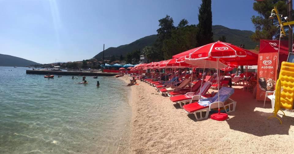 Apartmani Jelena - 5