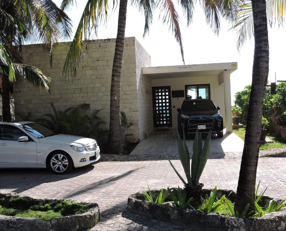 Casa Moskito - 2