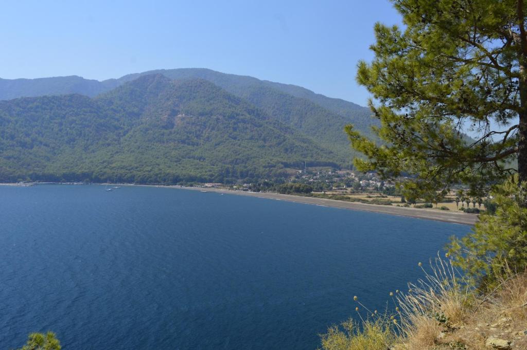 Erasmus Apart Hotel photo