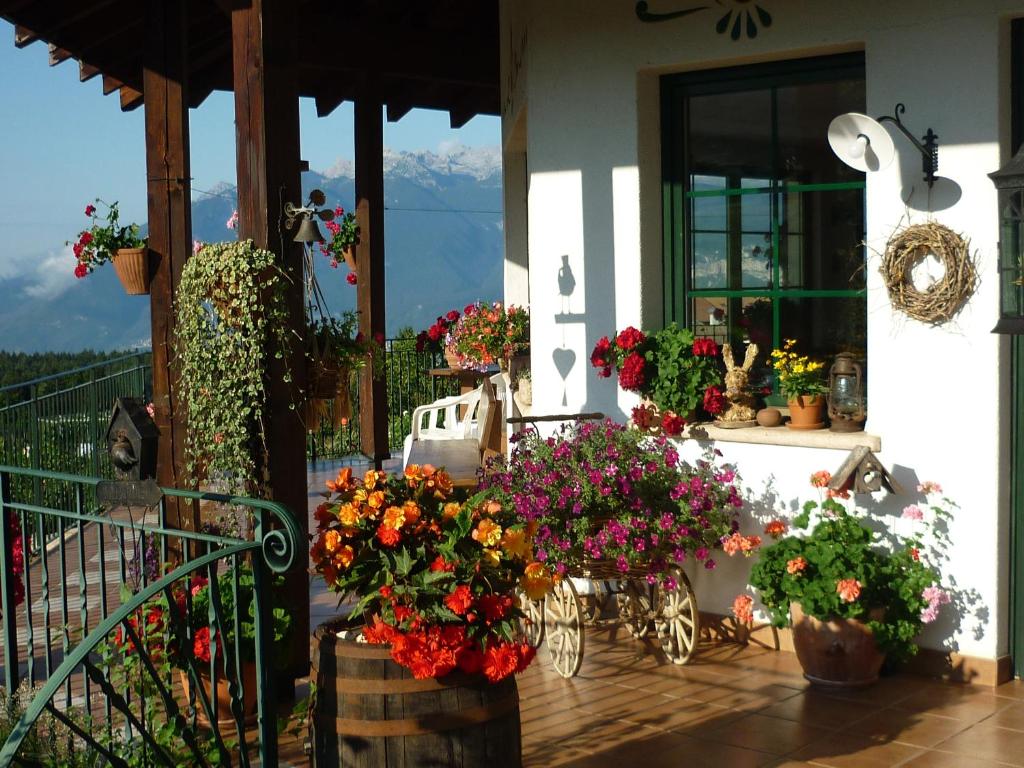 La Capannina - 2