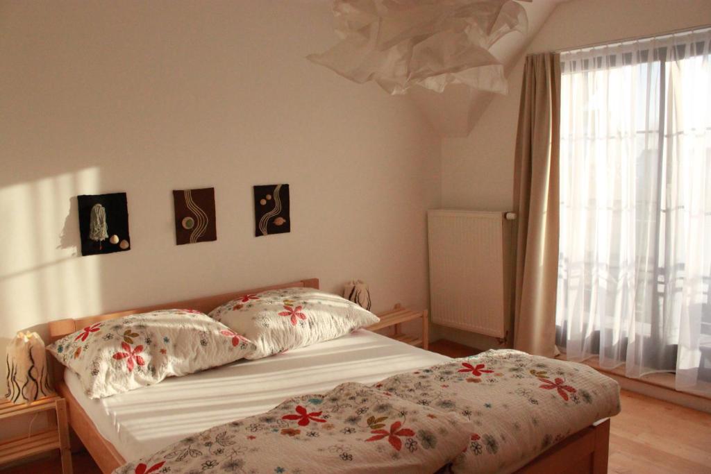 Tatry FiMaLi, Tatranská Lomnica