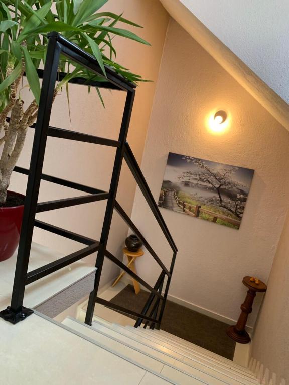 Apartmani Alo Alo (kod Mikija) photo
