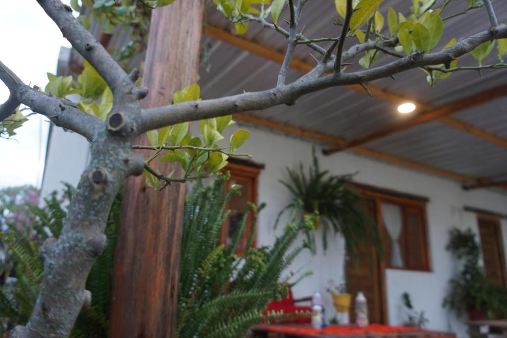 Hosteria Quinta Alta - 5