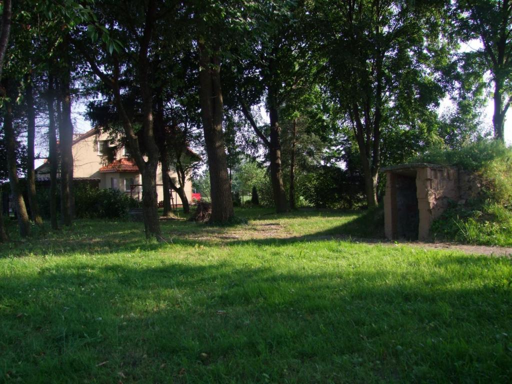 ogród