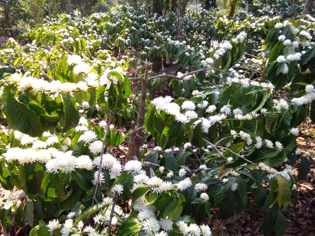 Surrounding environment