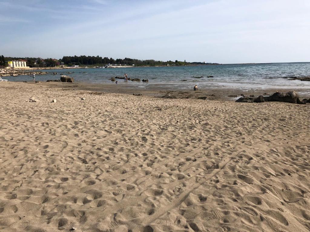 App Trinodis photo