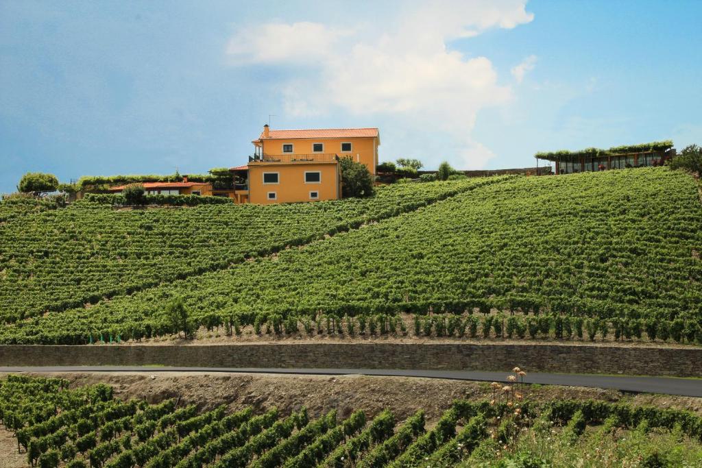 Casa da Seara — Hotel in Alijo