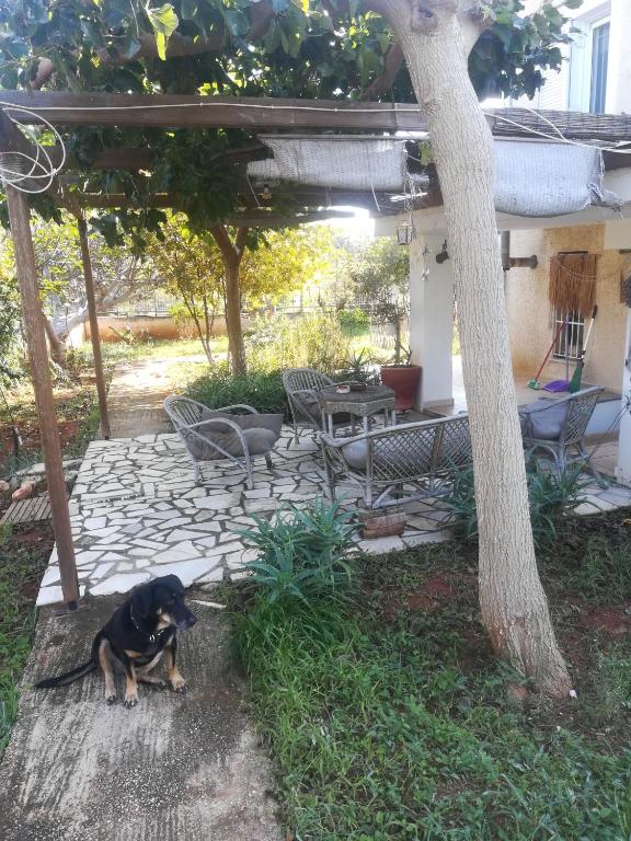 Country Rooms near Athens - Airport photo