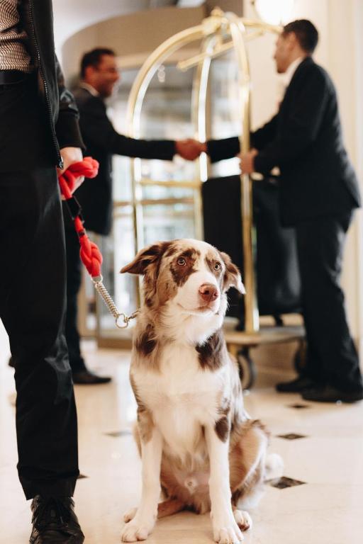 Grand Mercure Sp Ibirapuera (formerly Sofitel Sao Paulo) Photo 9