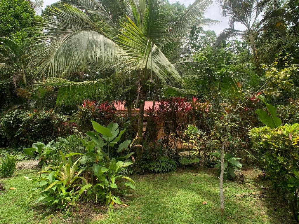 Luna Caribena Village — Hotel in Puerto Viejo de Talamanca