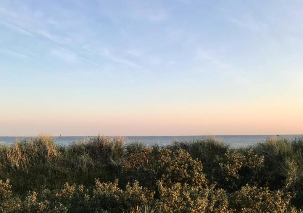 Surrounding environment