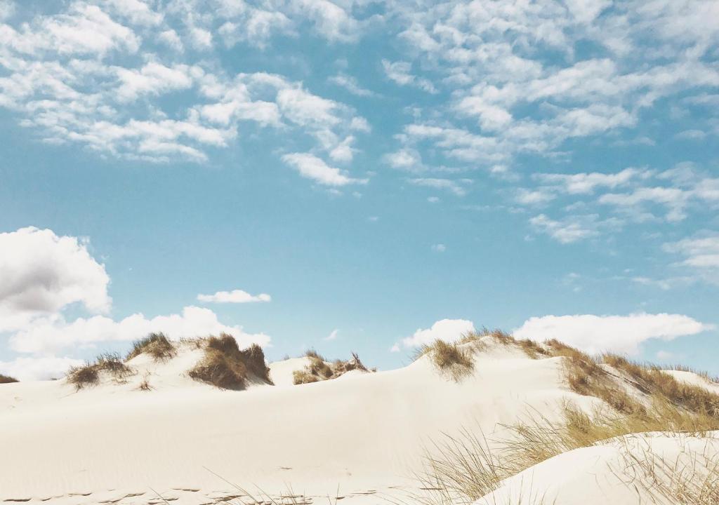 Surrounding environment