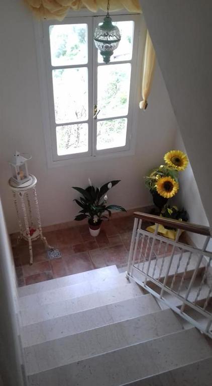 Il Girasole ...At Andorus' House