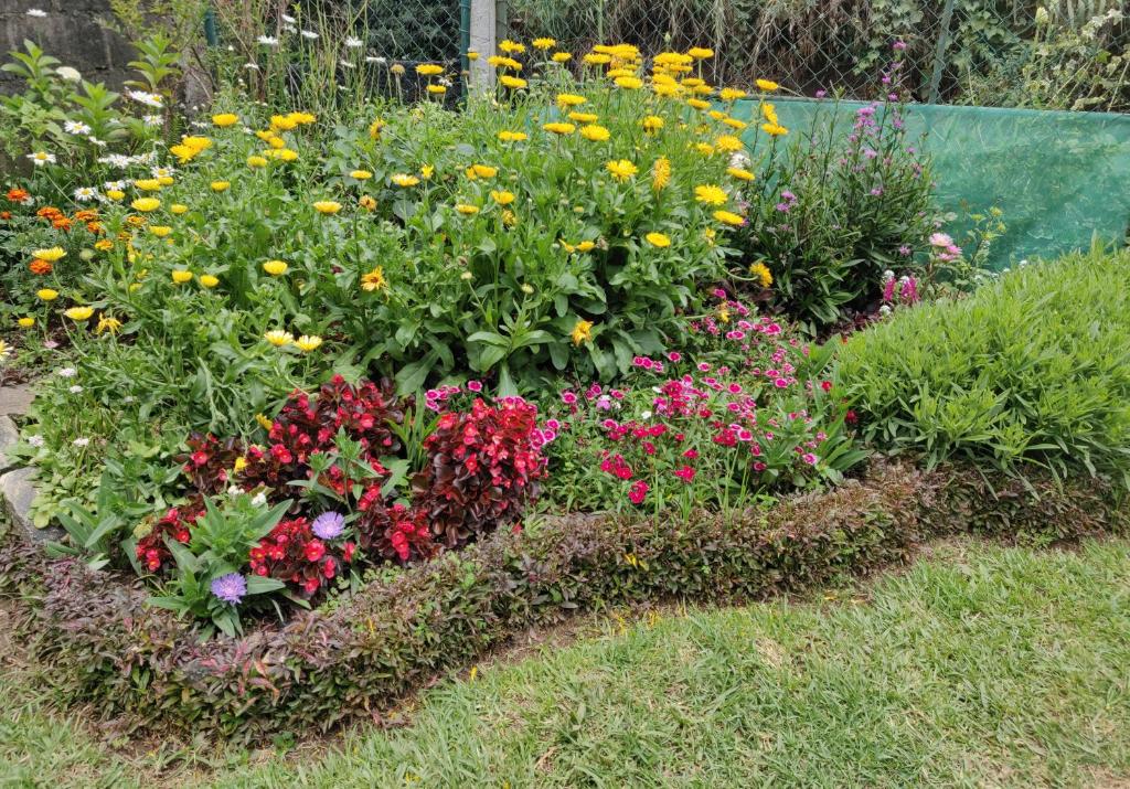Kings Cottage Nuwara Eliya photo