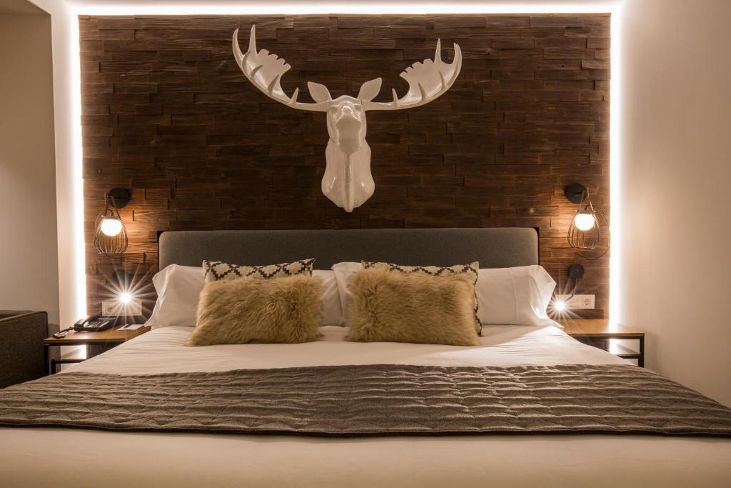 Husa Centric Photo 17